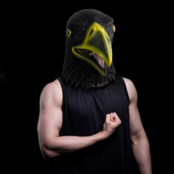 Eagle Mask Novelty Eagle Head Mask Animal Mask for Party $25.61 Kids' Dress-Up Accessories