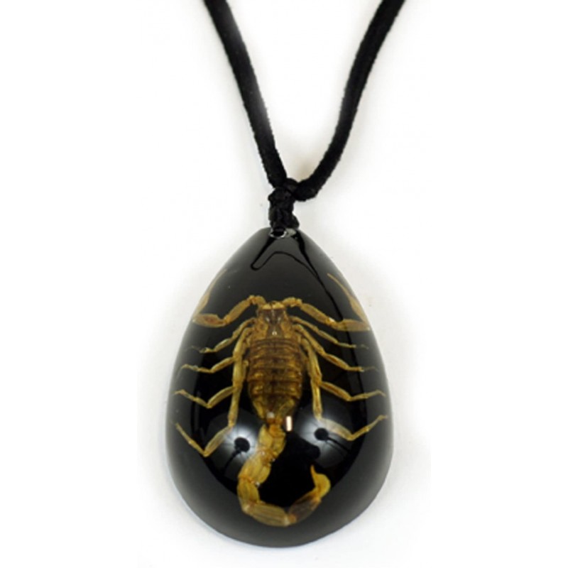 Gold Scorpion Necklace Black Leather $17.95 Kids' Dress-Up Accessories