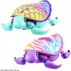 26348 Lil S9 Single Pack-Styles Vary Interactive Animated Electronic Turtle Walking & Swimming Movement collectable pet Chara...