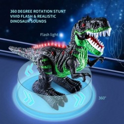 2.4G Remote Control Dinosaur Jurassic Tyrannosaurus Toy for Kids 3 4 5 6 7 Years Electric Stunt RC Walking T-rex Robot Toy wi...