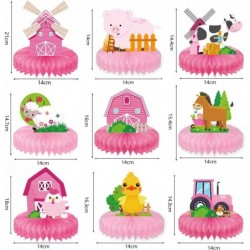 Farm Animals Party Supplies Pink Farm Honeycomb Centerpieces for Farm Themed Party Decorations 3D Barn Animal Cutouts for Bab...