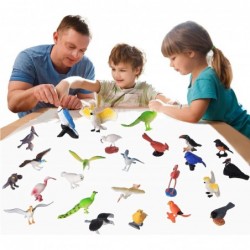 Birds Figurines 23pcs Realistic Eagle Parrot Robin Owl Toy Bird Fairy Garden Accessories Learning Educational Toys for Dollho...