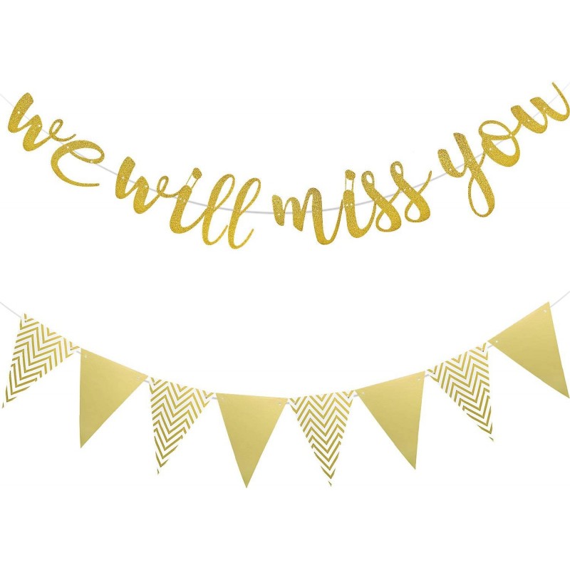 We Will Miss You Banner Gold Glitter Graduation Banner and Triangle Flag Banner for Retirement Farewell Going Away Office Wor...