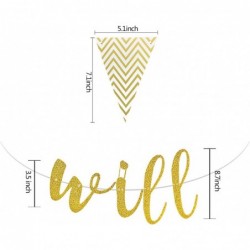 We Will Miss You Banner Gold Glitter Graduation Banner and Triangle Flag Banner for Retirement Farewell Going Away Office Wor...