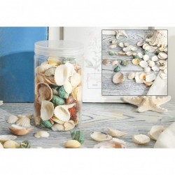 80~85pcs Sea Shells Mixed Beach Seashells for Beach Theme Party Wedding Decorations DIY Crafts Candle Making Fish Tank Vase F...