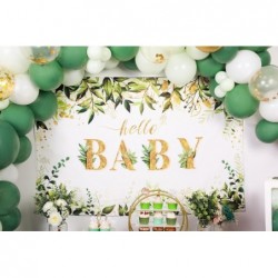 Sage Green Neutral Baby Shower Decorations Safari Theme Boxes with Letters Woodland Jungle Balloon Garland Arch Kit Rustic Pa...