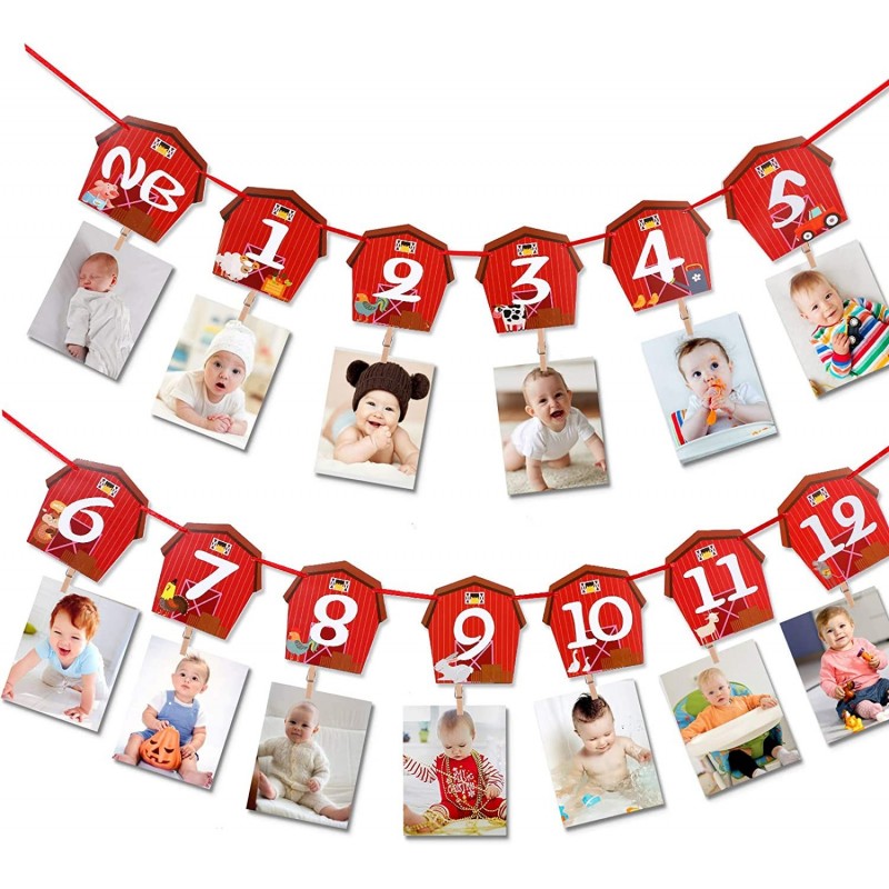 Farm Animal Theme Photo Banner 1st Birthday Monthly Banner Newborn to 12 Month Photo Display Milestone Photograph for Barnyar...