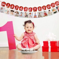 Farm Animal Theme Photo Banner 1st Birthday Monthly Banner Newborn to 12 Month Photo Display Milestone Photograph for Barnyar...