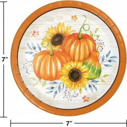 Fall Harvest Pumpkin Birthday Baby Shower Thanksgiving Party Supplies (48 Piece) $28.44 Kids' Party Tableware