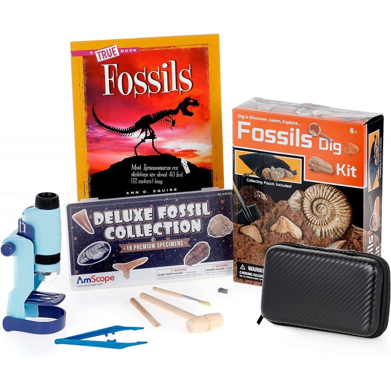 IQCREW - Fossil Collection & Microscope Activity Kit 60X-120X Portable LED Handheld Microscope 18-pc Premium Fossil Specimen ...