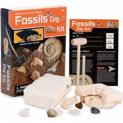 IQCREW - Fossil Collection & Microscope Activity Kit 60X-120X Portable LED Handheld Microscope 18-pc Premium Fossil Specimen ...