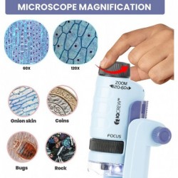 IQCREW - Fossil Collection & Microscope Activity Kit 60X-120X Portable LED Handheld Microscope 18-pc Premium Fossil Specimen ...