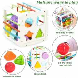 Montessori Toys for 1 Year Old 2 in 1 Baby Toys 6 to 12 Months Shape Sorter Toys with 10 Pcs Sensory Blocks&Stacking Toys Bab...