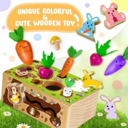 Wooden Montessori Toys - Carrot Harvest Game Preschool Learning Activities Shape Sorter Fine Motor Toys Learning Resources Mo...