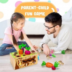 Wooden Montessori Toys - Carrot Harvest Game Preschool Learning Activities Shape Sorter Fine Motor Toys Learning Resources Mo...