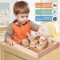 Wooden Sensory Bin Tools Montessori Toys for Toddlers Pretend Play Dish Toys Wooden Tongs for Transfer Work and Fine Motor Le...