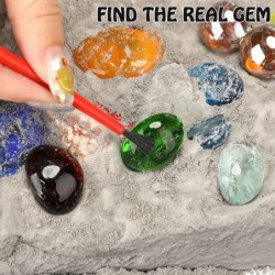 Christmas Gems Dig Kit Gemstone Excavation Kit Mining Toy Excavate 17 Gems and Shells Educational Digging Toy Science Kit wit...