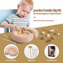 Mega Fossils Dig Kit - Excavate 12 Prehistoric Fossils Shark Teeth Dinosaur Poop Fossil Fish Paleontology Educational Toys fo...