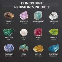 Birthstone Dig Kit for Kids | Excavate 12 Gemstone Crystals | Geology Science Toys for Boys and Girls $25.56 Educational Scie...