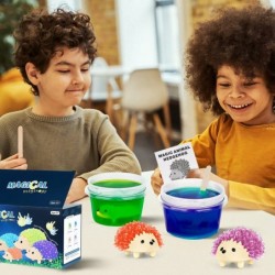 Crystal Growing Kit for Kids - 4 Colors Hedgehog to Grow Science Experiments for Kids Crystal Science Kits for Teens STEM Gif...