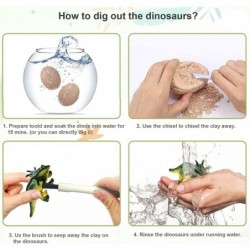 Dinosaur Eggs Dig Kit Archaeology-Dig up 12 Eggs & Discover Surprise Dinosaurs Science STEM Gift Dinosaur Fossil Eggs for Kid...