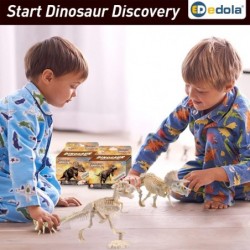 Kid Dinosaur Dig Kit 2 Pack Dinosaur Toys for Kids Boys Girls Adults Digging for Dinosaur Bones Triceratops Tyrannosaurus Din...