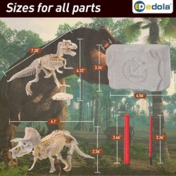 Kid Dinosaur Dig Kit 2 Pack Dinosaur Toys for Kids Boys Girls Adults Digging for Dinosaur Bones Triceratops Tyrannosaurus Din...