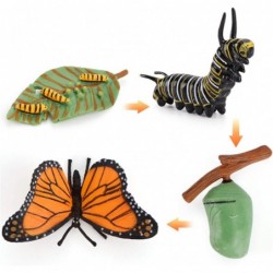 4 pcs Butterfly Realistic Animal Life Growth Cycle Biological Model Figure Toys Farm Animal Growth Model Figure Cake Toppers ...