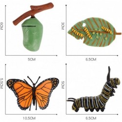 4 pcs Butterfly Realistic Animal Life Growth Cycle Biological Model Figure Toys Farm Animal Growth Model Figure Cake Toppers ...