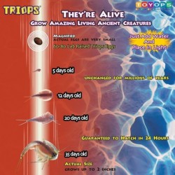 Gigantic Triops Kit Contains Eggs Food Instructions and Helpful Hints to Hatch and Grow Your Own Jumbo-Sized Prehistoric Crea...