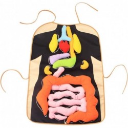 3D Organ Apron Anatomy Apron Human Body Organs Awareness Educational Toy for Home Preschool Teaching Aid Black $39.41 Educati...