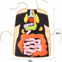 3D Organ Apron Anatomy Apron Human Body Organs Awareness Educational Toy for Home Preschool Teaching Aid Black $39.41 Educati...