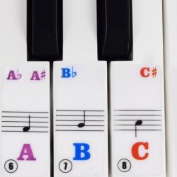 Piano Stickers for Keys Removable Colorful Piano Keyboard Stickers for 61 Full Set Stickers for Kids Beginner Learning Piano ...