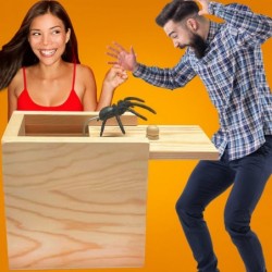 Prank Spider Box Funny Gag Gift [LARGE] Wooden Surprise Gift Box for Money Cash Gift Card Presents Fun Hilarious Trick Box Sc...