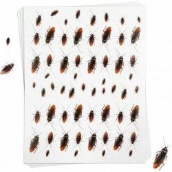 Removable Cockroach Stickers for Pranks (4 Sheets) $17.35 Kids' Drawing & Writing Boards