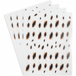 Removable Cockroach Stickers for Pranks (4 Sheets) $17.35 Kids' Drawing & Writing Boards