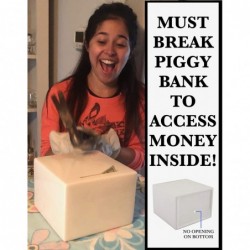 Piggy Bank for Adults - Must Break to Access Money | Ceramic Savings Bank to Help Budget and Save for Vacation Wedding or Chi...