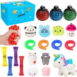 20 Pack Sensory Fidget Toys Set Kawaii Squeeze Mochi Squeeze Squeeze Ball Mesh and Marble Toy Stretchy String Colorful Sensor...