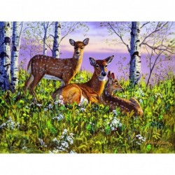 Spring Twins 500 pc Jigsaw Puzzle $17.09 Jigsaw Puzzles