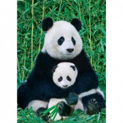 Panda and Baby 1000 Piece Puzzle Multicolor 6000-0173 $37.98 Jigsaw Puzzles