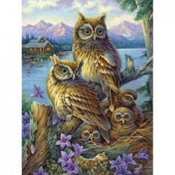 - 1000 Piece Jigsaw Puzzle for Adults 20" x 27"  - Owls in The Wilderness - 1000 pc Owl Baby Owls Forest Cabin in The Woods J...