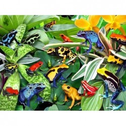 500 Pieces of Puzzle-Dart Frog Wild Animal-Adult Puzzle Toddler Puzzle Psychedelic Game Challenge Puzzle Jigsaw Toy Gift high...