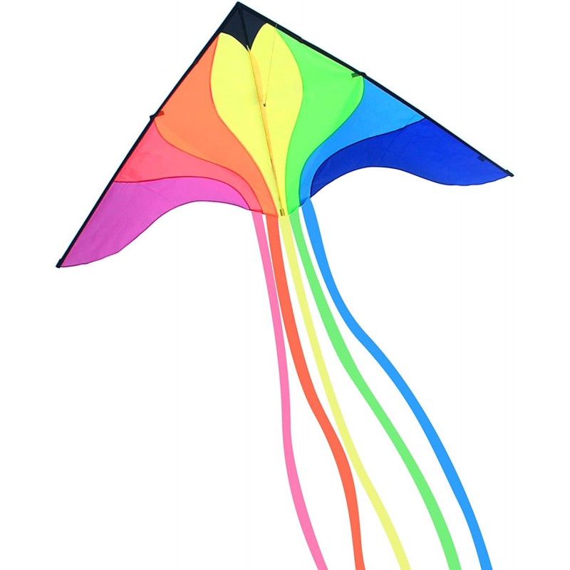 Large Phoenix Kite for Kids and Adults Beach Kites for Adults Outdoor Toys Games and Activities Kites Single Line Kite with F...