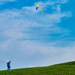 Large Phoenix Kite for Kids and Adults Beach Kites for Adults Outdoor Toys Games and Activities Kites Single Line Kite with F...