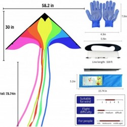 Large Phoenix Kite for Kids and Adults Beach Kites for Adults Outdoor Toys Games and Activities Kites Single Line Kite with F...