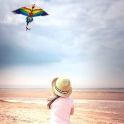 Kite Kites for Kids Easy to Fly Parrot Kite for Children and Adults Comes with 2 Ribbons and 320 feet of Kite String $32.48 K...