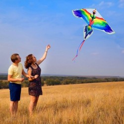 Kite Kites for Kids Easy to Fly Parrot Kite for Children and Adults Comes with 2 Ribbons and 320 feet of Kite String $32.48 K...