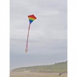 Rainbow 27 Inch Diamond Kite - Single Line - Ripstop Fabric - Includes Kite Line and Bag - Great Beginner Kite $27.35 Kites &...