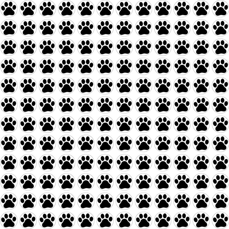 Pack of 3000 Dog Paw Print Stickers Small Mini Animal Paw Print Nail Stickers Value Pack for Water Bottles Kids Classroom Rew...