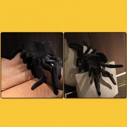 Spider Doll Plushie The Big Spider Throw Pillow Lovely Soft Gothic Plush Toys Goth Stuffed Animal Girls Boys Furry Gift Stuff...